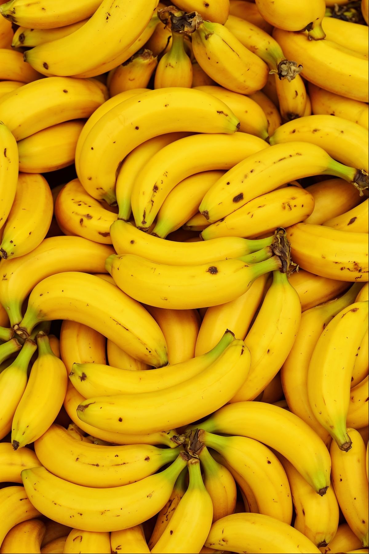 Export-grade Indian bananas