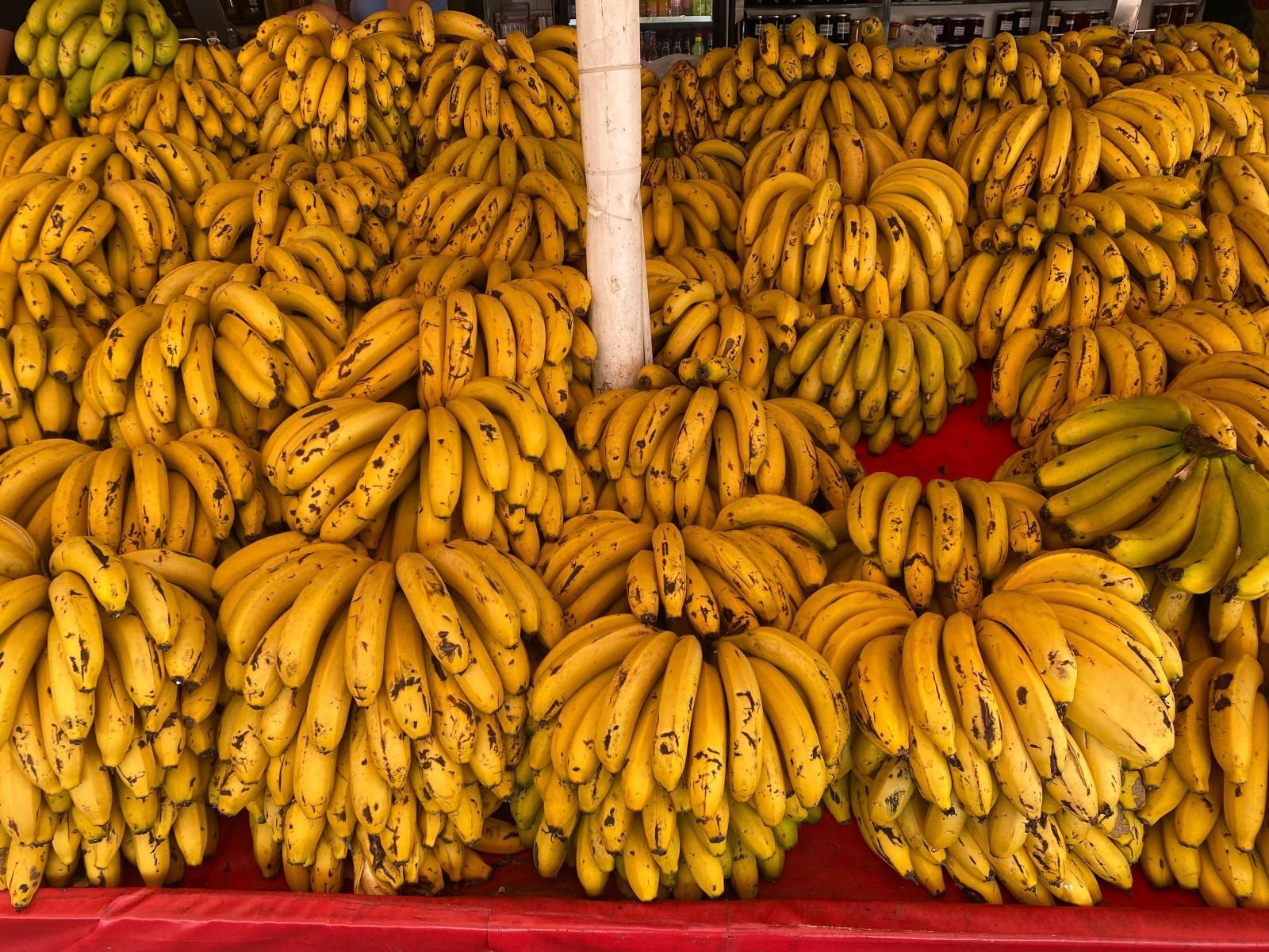 Banana consignment photo