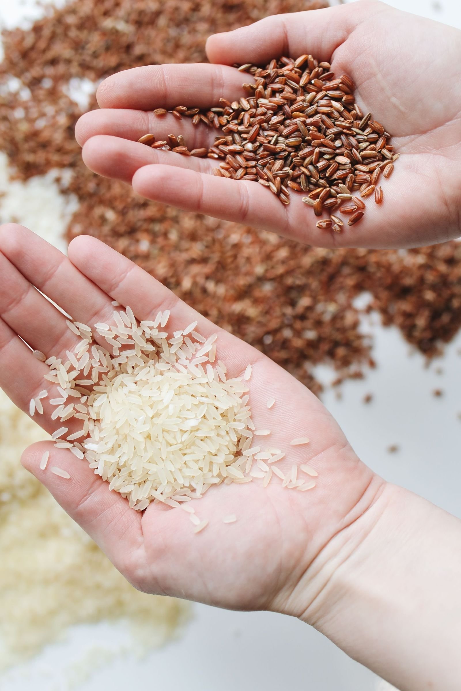 Basmati rice consignment photo