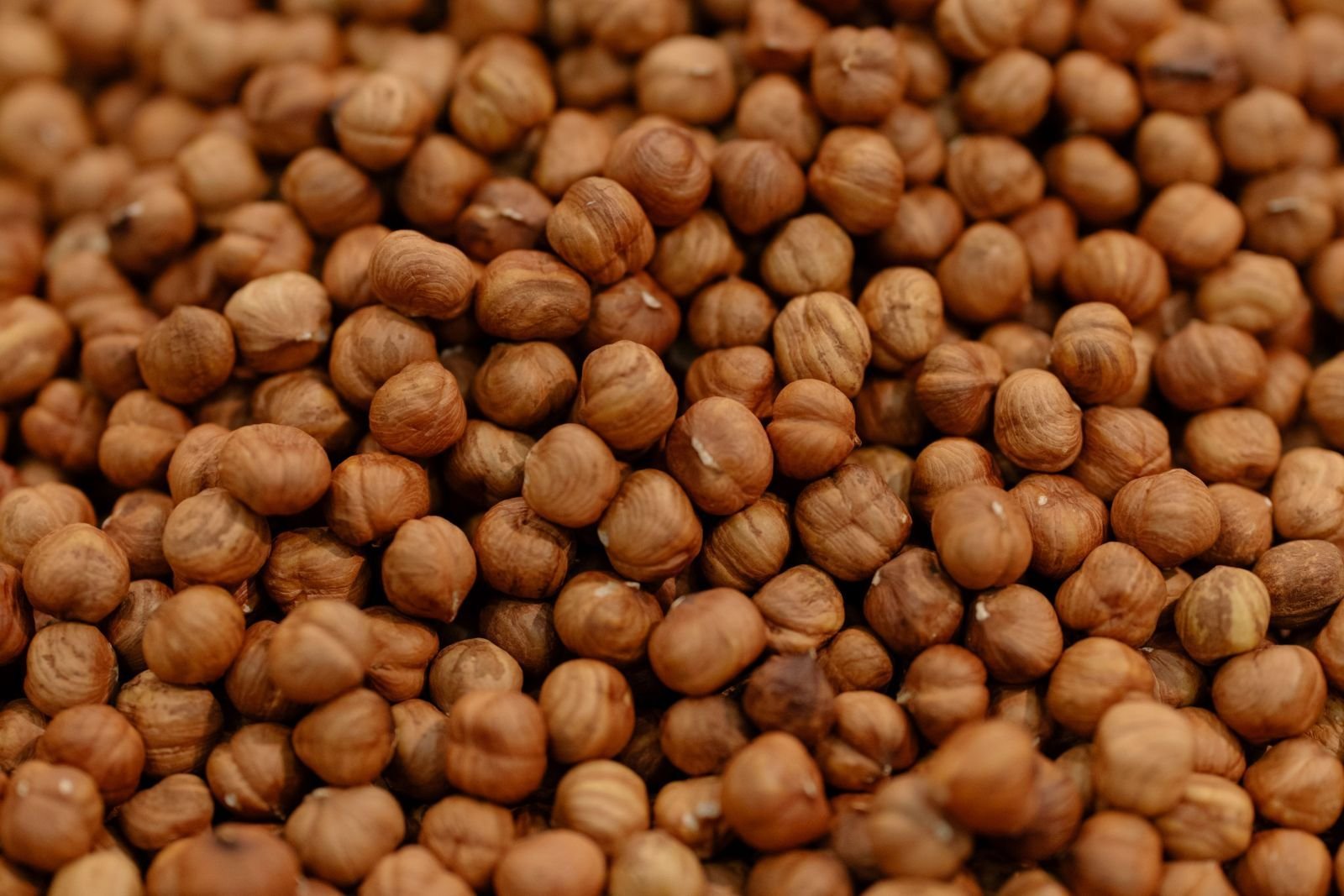 Chickpeas consignment photo