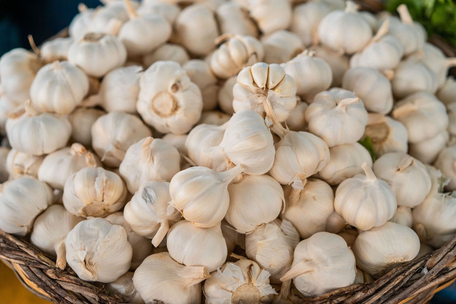 Garlic consignment photo