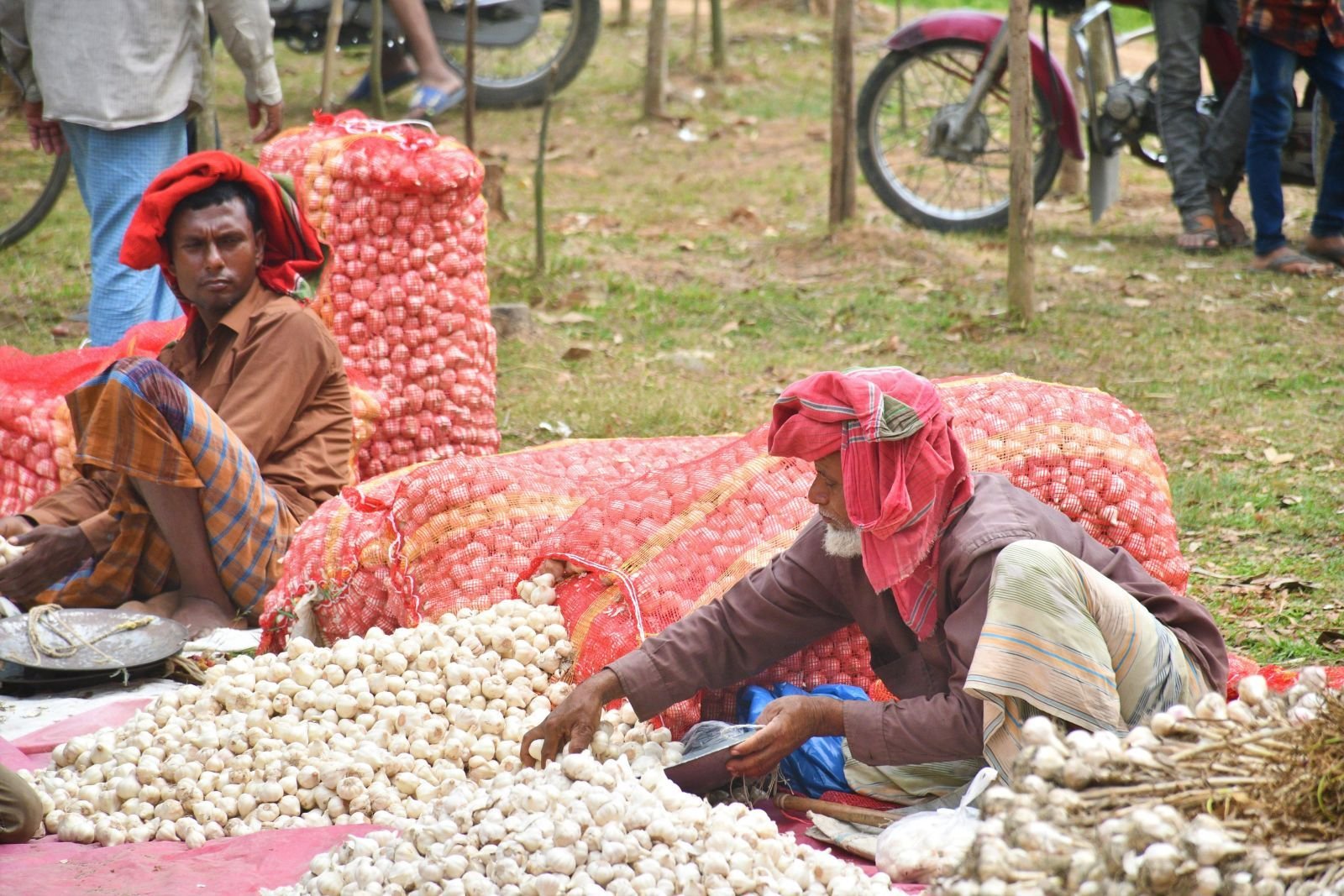 Garlic consignment photo