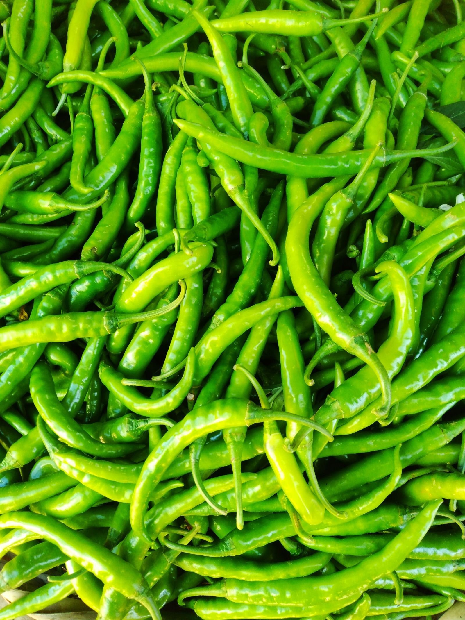 Green chilli consignment photo