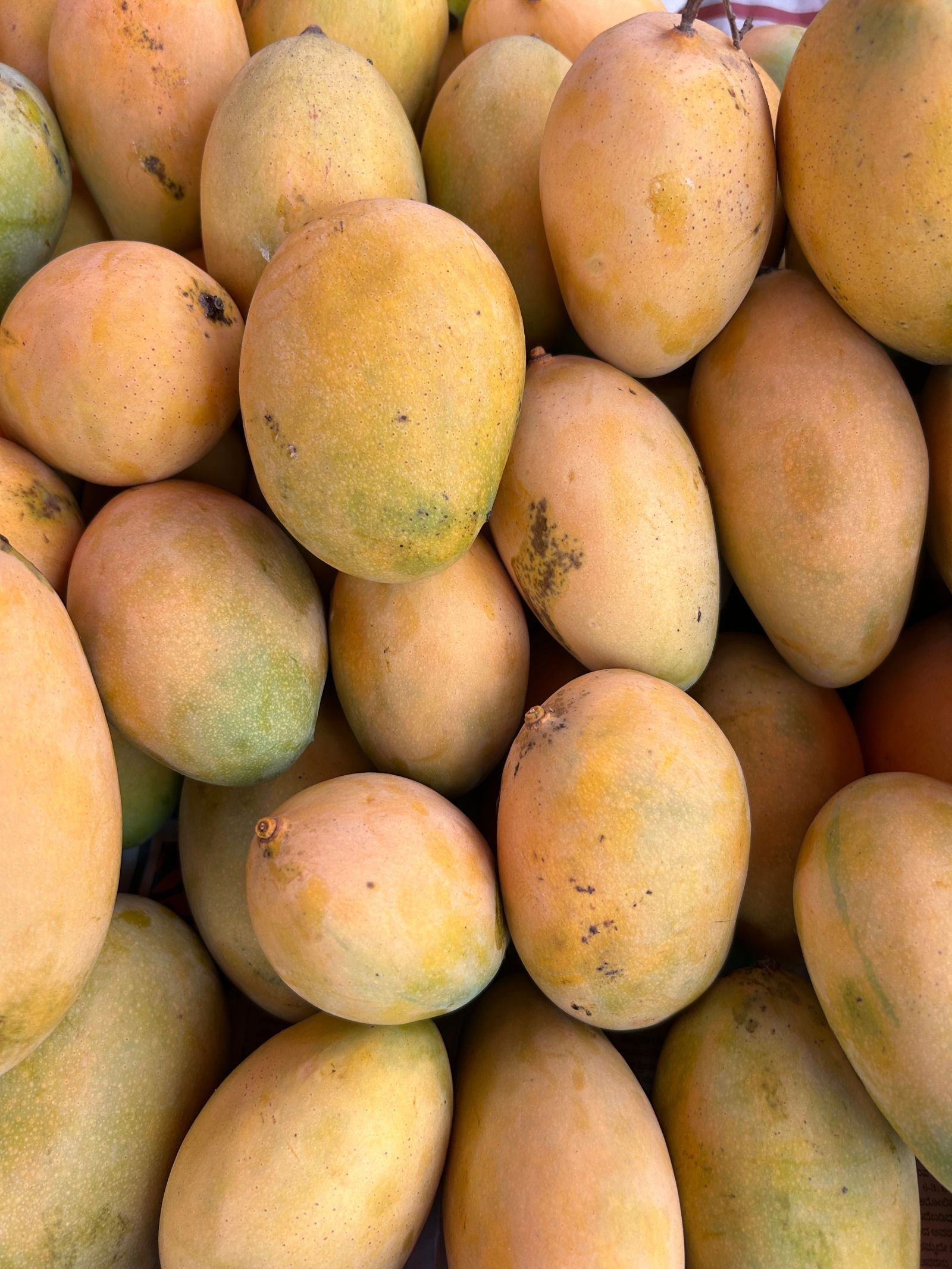 Mango consignment photo