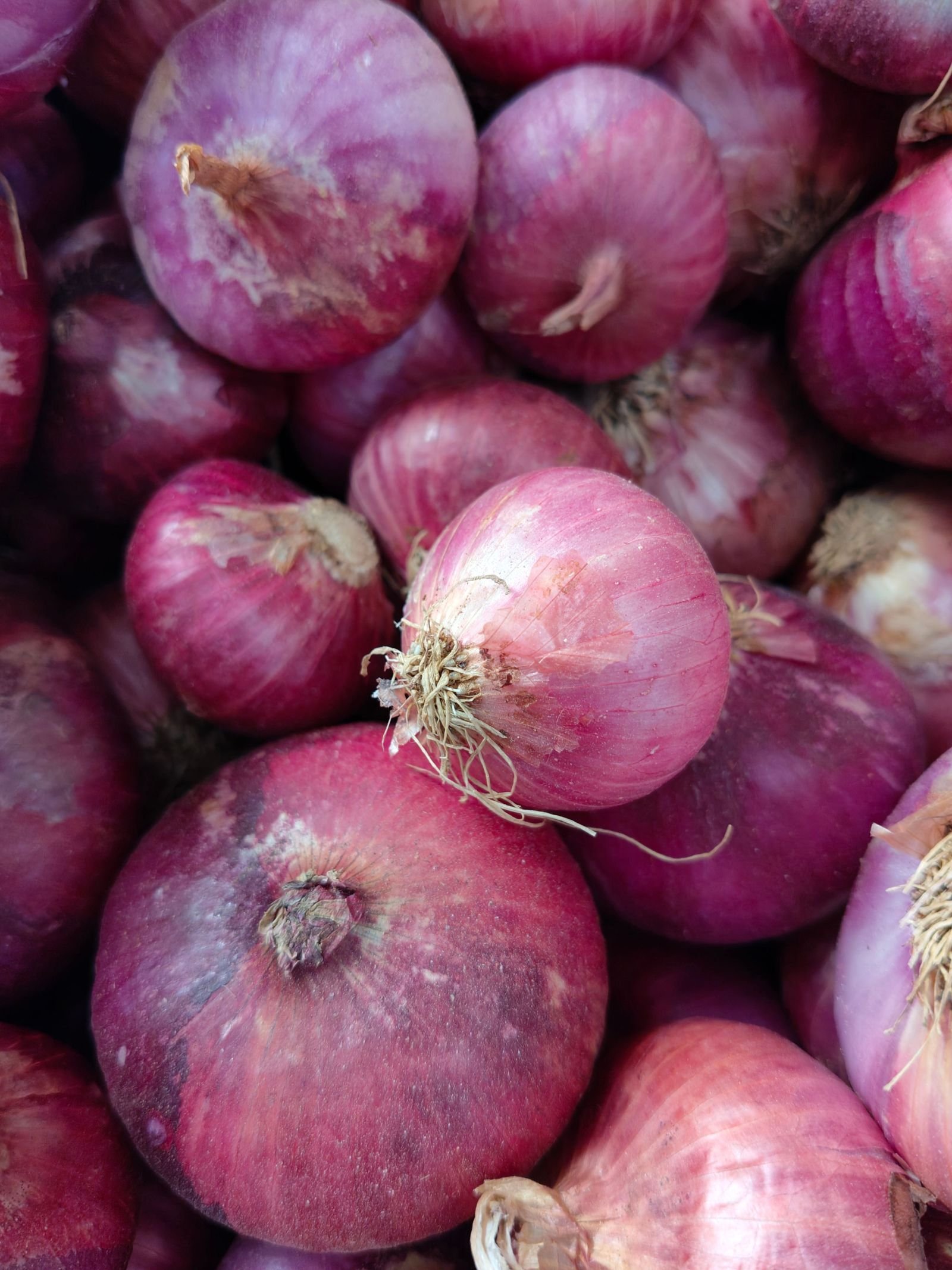 Onion consignment photo